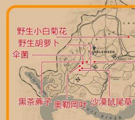 荒野大镖客2草药大师挑战攻略:百分百达成草药大师成就指南