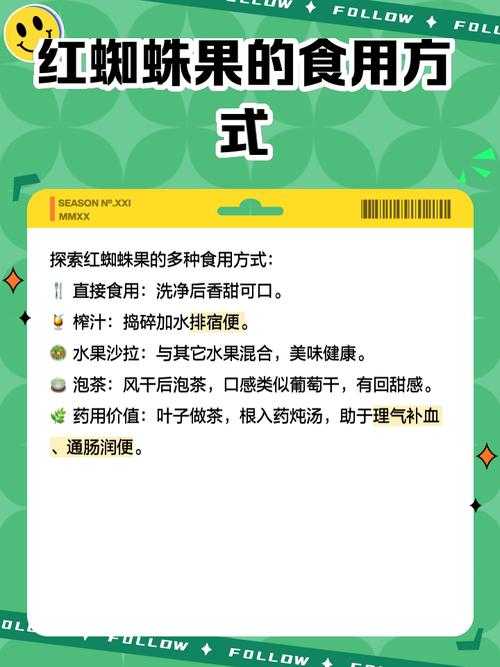 红果免短刷的最佳搭配产品有哪些?