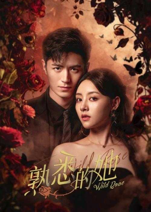 热播电视剧在线免费观看全集