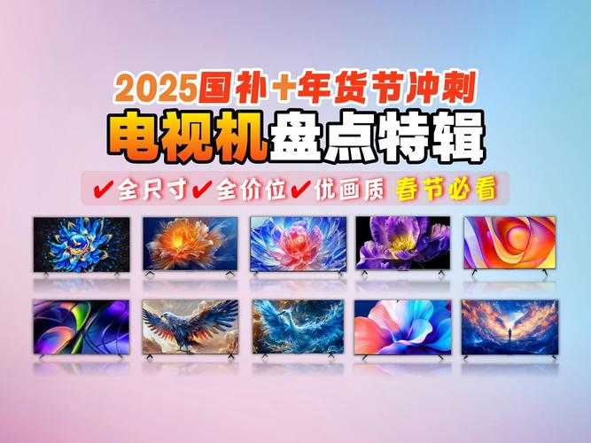 2025年视频播放器选购指南:多品牌对比与选购建议