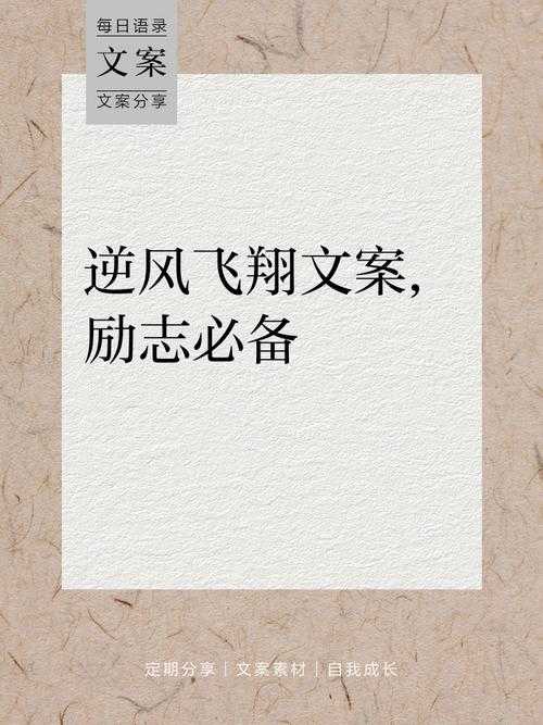 逆风飞翔:勇往直前的追梦之旅