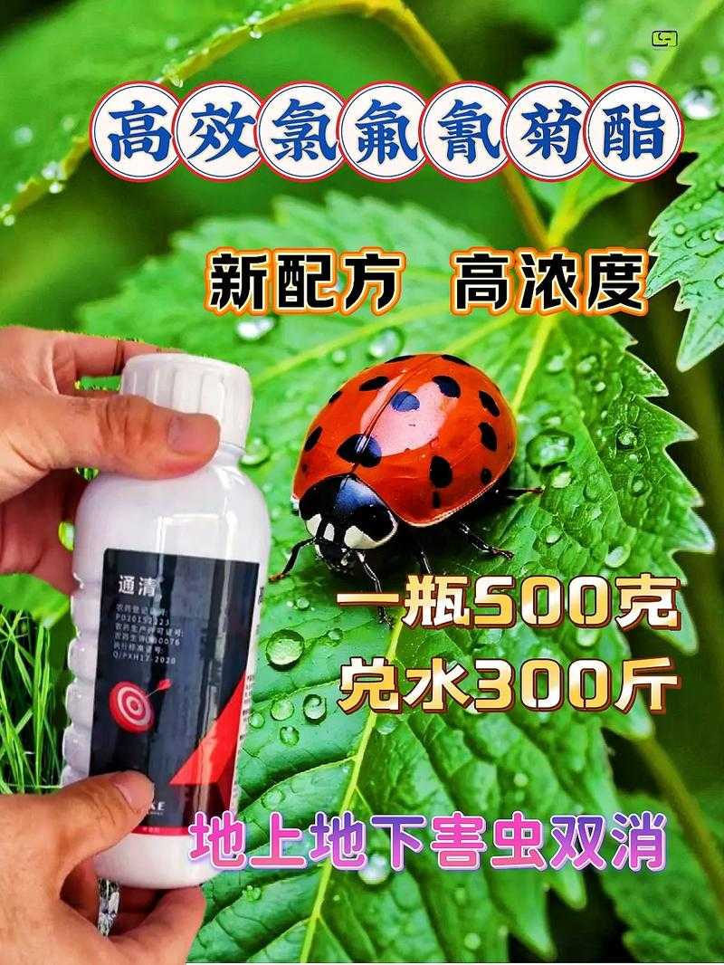 如何有效利用氯氟氰菊酯实现高效杀虫?