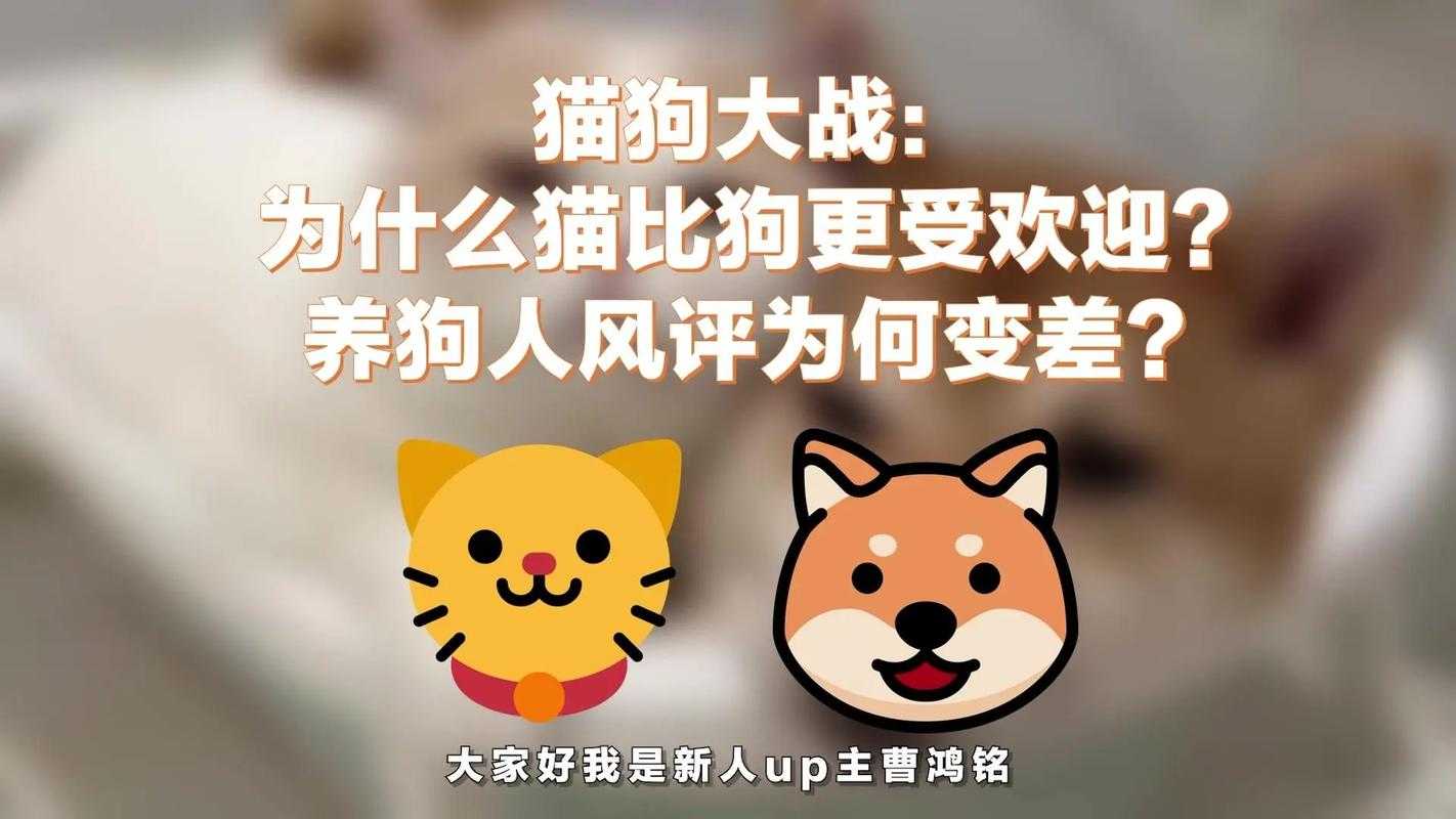 2025最新猫狗大战还是世纪和解揭秘“猫狗共舞”的疯狂世界!