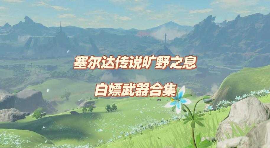 针对《塞尔达传说:旷野之息》玩家及游戏设备电池维护的优化建议如下: