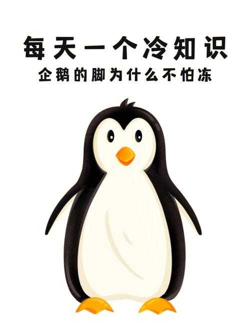 蚂蚁庄园12月1日答案揭晓:企鹅知识科普,了解企鹅的冷知识