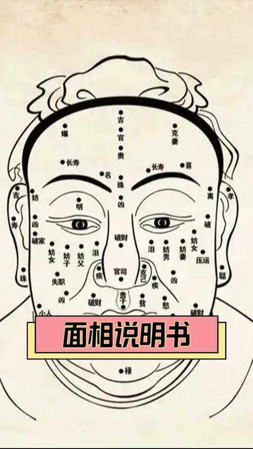 面相汉字奥秘揭秘:十大阴面相特征与汉字书写之谜深度解析