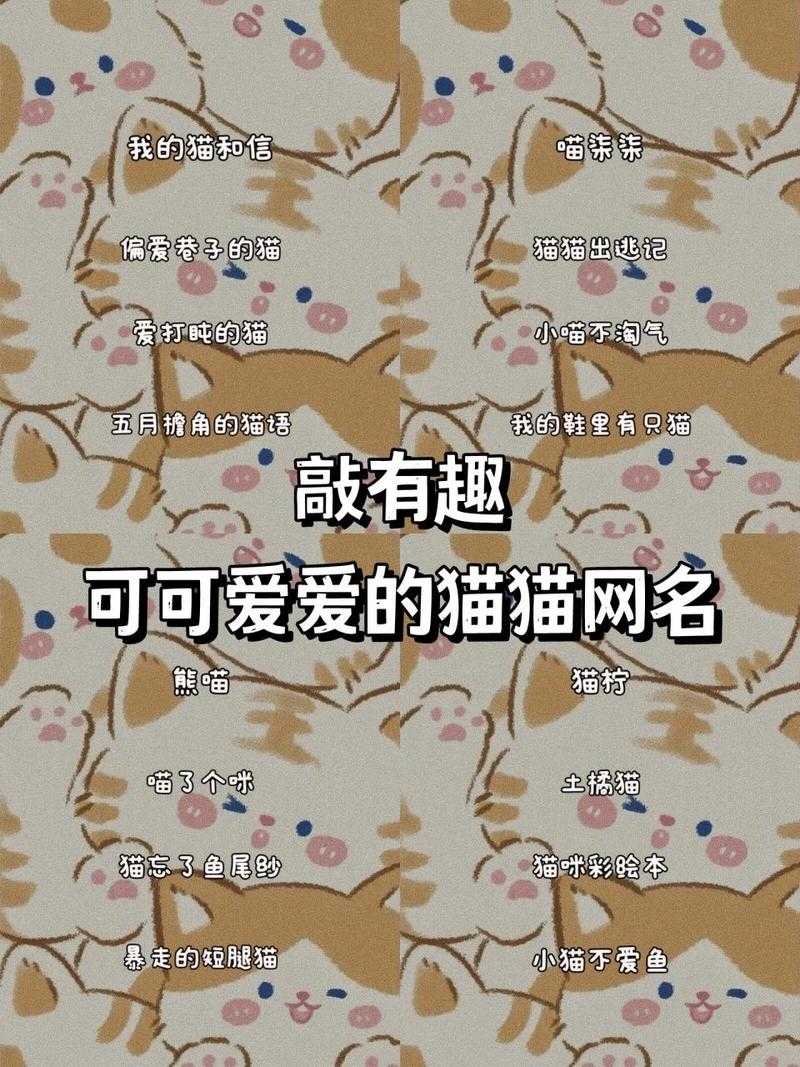 猫咪成人网名创意:打造个性独特网络空间