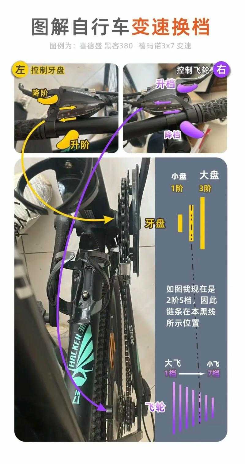 为何自行车变速器数量更少,却更贵?探索速度背后的真相
