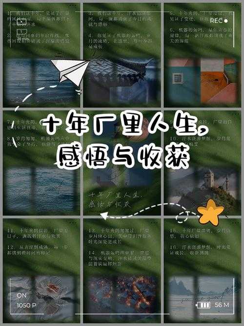 钰慧七十八秋末收获如何揭示人生感悟与情感启示?深度解析其双重启示价值