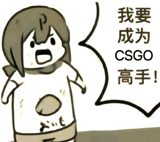 2025 CSGO云游戏全指南:入门到进阶攻略