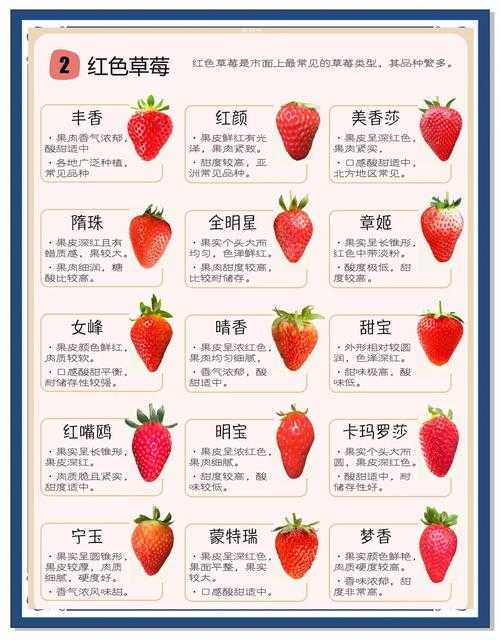 草莓视频魅力揭秘:观看体验与使用优势一览
