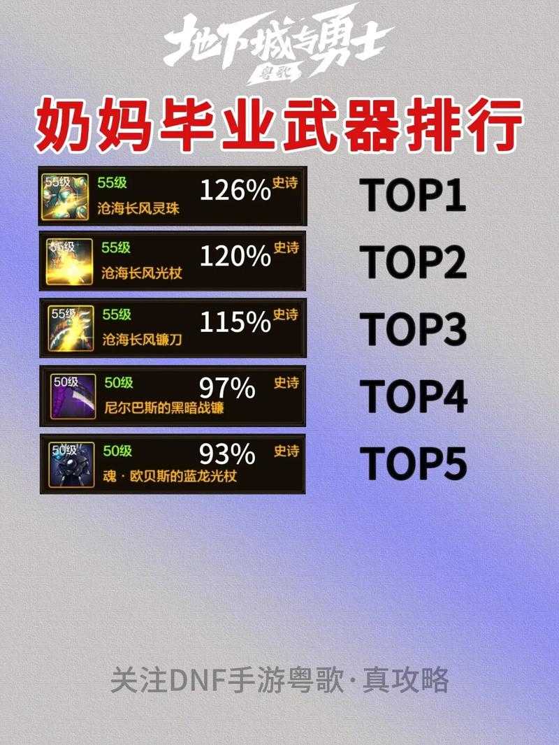2025年DNF奶妈装备选择与副本适配指南