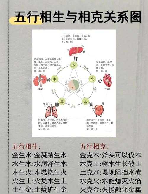 《法宝五行》智能养生:2025传统与现代融合市场分析