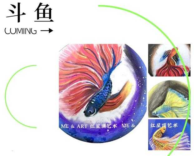 《斗鱼西法》阅读生态:数据与真实体验