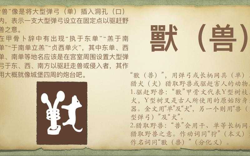 汉字之谜:哪个字能同时概括人、野兽、马、狗、猪的特质?