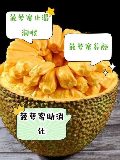 菠萝蜜视频网站:海量精彩视频,探索无限娱乐世界