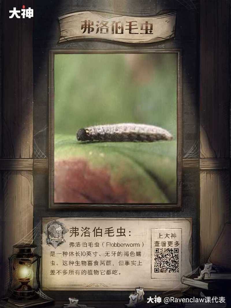 以下是对霍格沃茨魔法生物"弗洛伯毛虫"及其生态系统的综合分析报告: