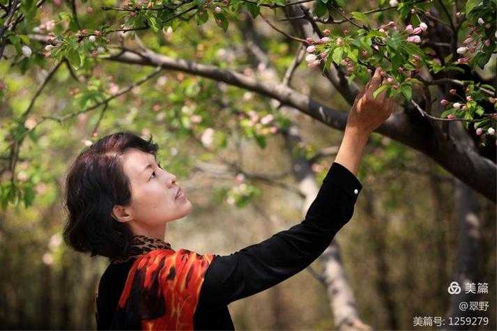 风月海棠9免费吗?免费版功能探讨