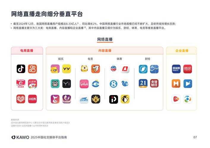 2025年最值得关注的20款社交娱乐平台对比测评
