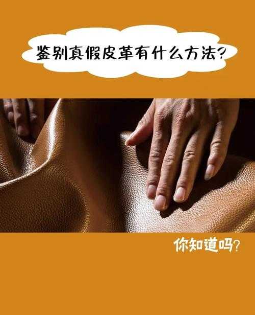 “快速识别AAAA级毛皮:掌握三个关键标志,轻松挑选高品质毛皮技巧”