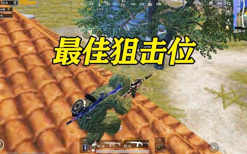 绝地求生刺激战场双排决赛圈制胜攻略,高效打法全解析