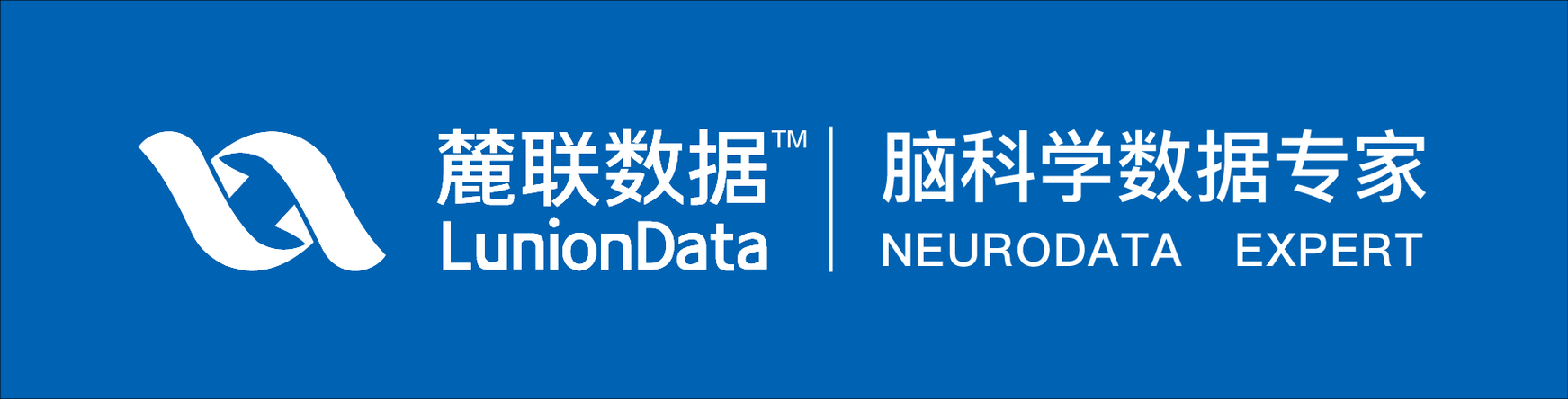 关于Neuralink V4.0及前沿技术的综合分析报告