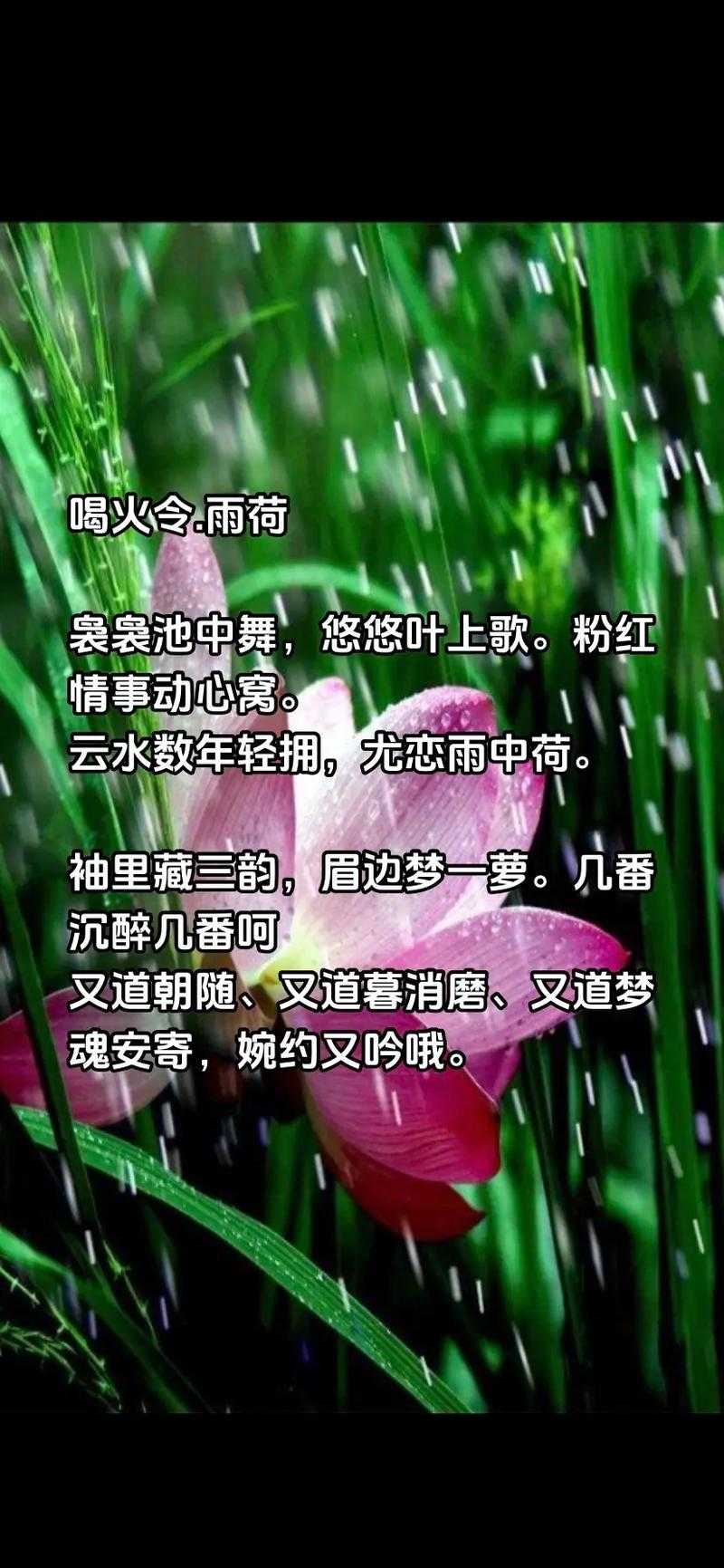 老人船上弄雨荷第12集:友情感真挚至深,感人肺腑!