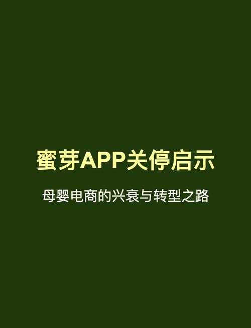 蜜芽:母婴电商创新引领者,发展历程解析
