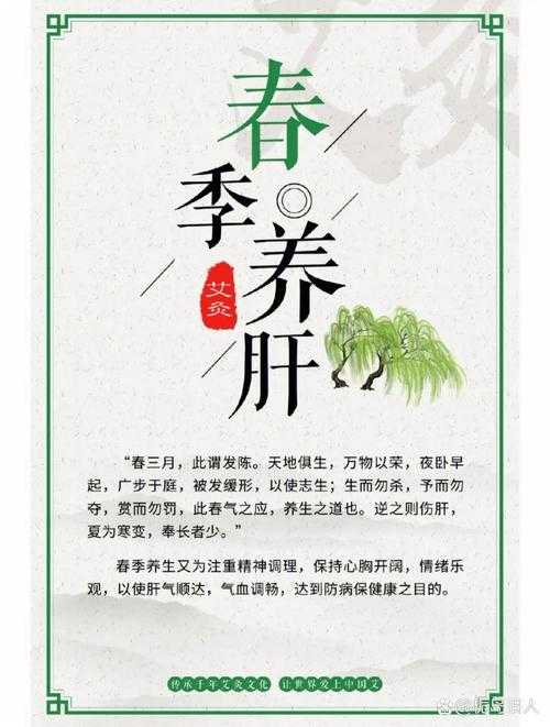 苏软软汆肉日常系统管理饮食,健康提升秘籍