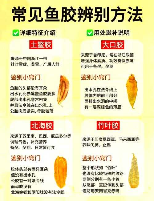 美国动物胶配方揭秘:了解这些特性至关重要!