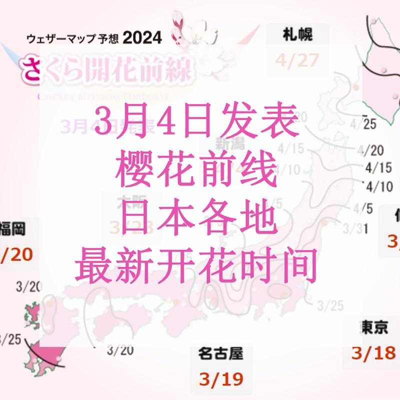 樱花官方正版官网访问指南及常见问题解答汇总