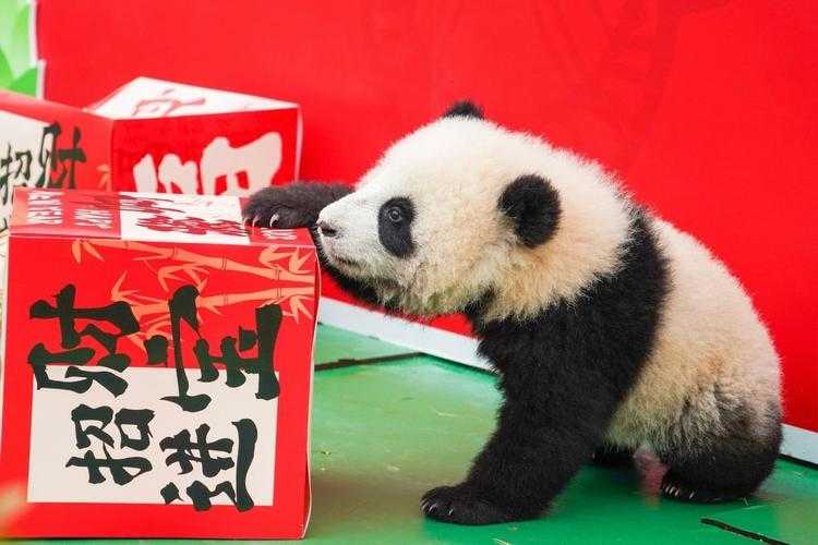 粉嫩BBB最可爱,全球公认萌宝!