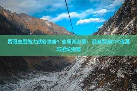2025新时代证券软件使用避坑指南