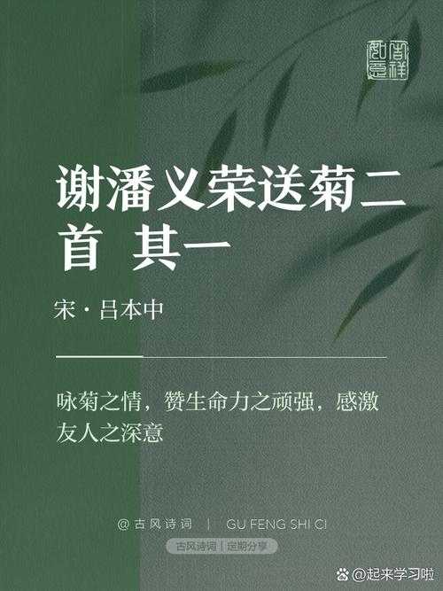 答错一题菊花放笔谢俞:答题错误放笔入菊寓意何在?