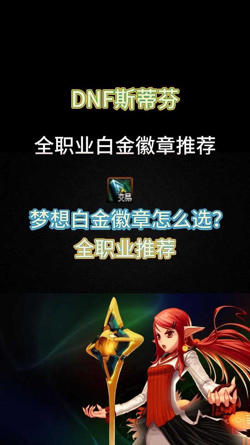DNF2025白金徽章部位解析与职业适配