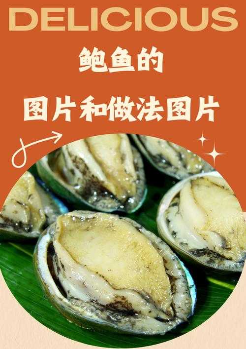 粉嫩鲍鱼18P:海洋生物探险之旅,揭秘神秘海洋世界