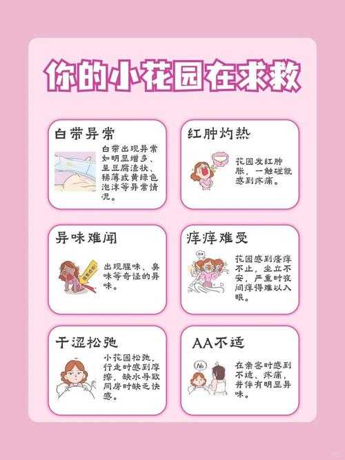 老公每天吃小花园,健康好处与饮食搭配指南