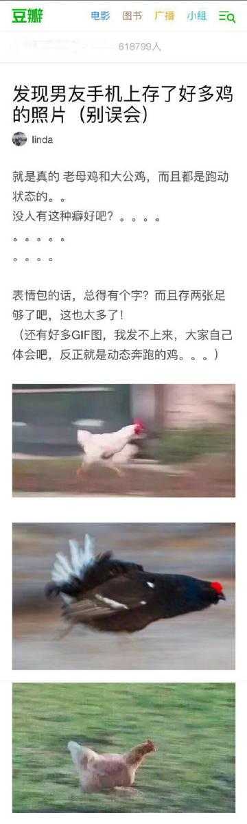 鸥美曰A片:笑料横飞,另类娱乐新体验,颠覆传统笑点!