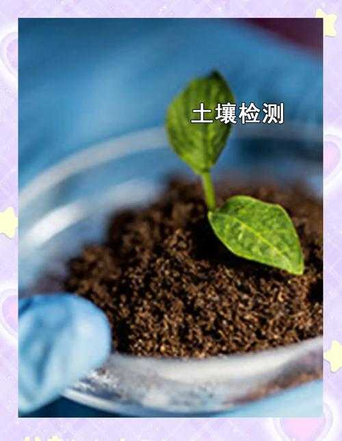 土壤检测app使用教程:快速上手土壤检测应用方法