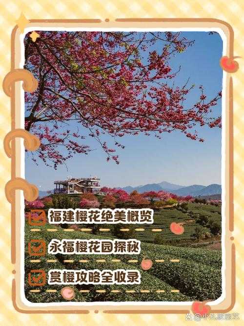樱花官网官方入口:畅游绝美樱花盛宴