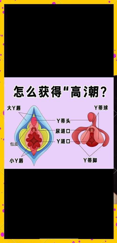 女生情感高潮声音特征:揭秘巅峰表现声音秘密