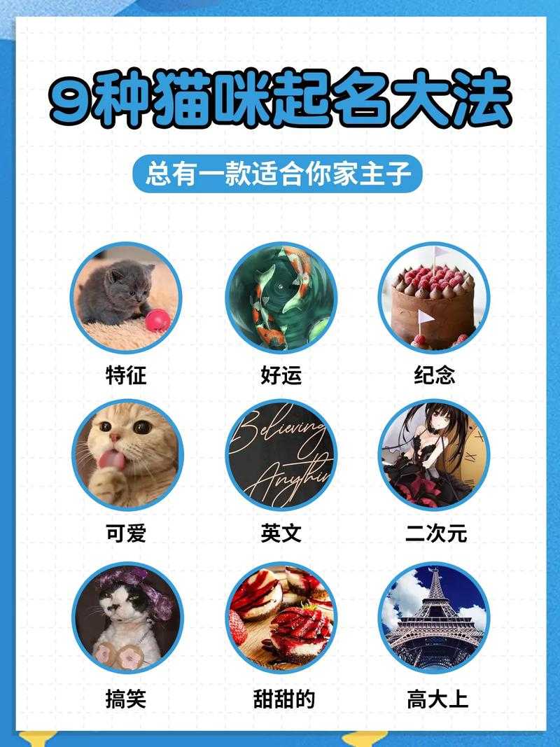 地域名取名技巧分享:猫咪MV最新地域名命名攻略