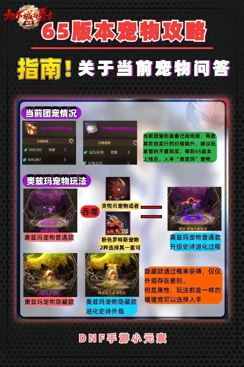 DNF暴走宠物养成经济生态与前瞻