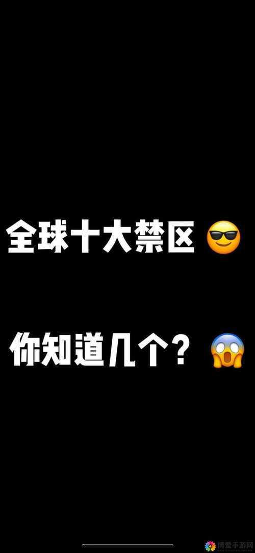 日本无人区码一码二码三码:社会管理创新与未来展望