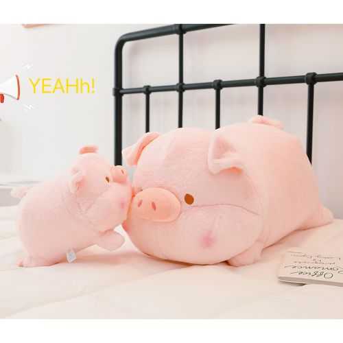 zoozoo宠物用品:高品质猪猪用品,一站式购物,趣味生活必备