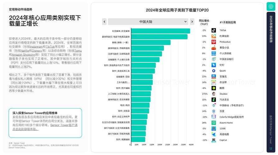2025年C站苹果App市场现状与用户行为分析