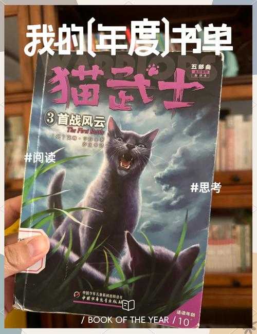 2025年最值得关注的五部猫系网游小说