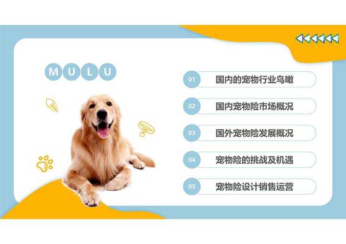 2025年最值得收藏的动物互动资源指南