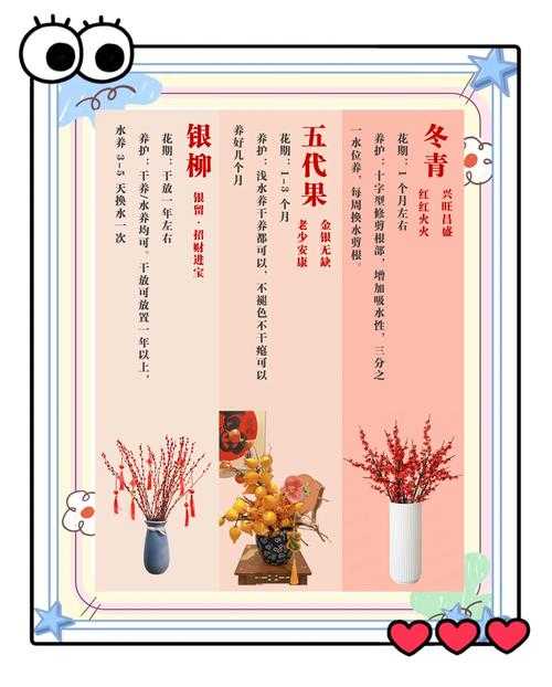 2025年最值得收藏的花卉高清图鉴指南