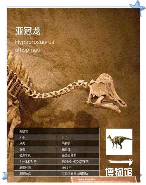 2025年最新发现的侏罗纪恐龙全解析 藏在化石里的生态密码